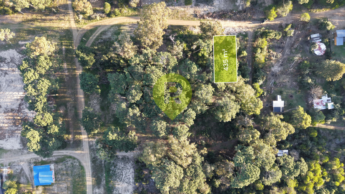 https://ri.com.uy/f/556/5/1200/0/0/0/33e8955a1b1283dd6879086f9e454144.jpg