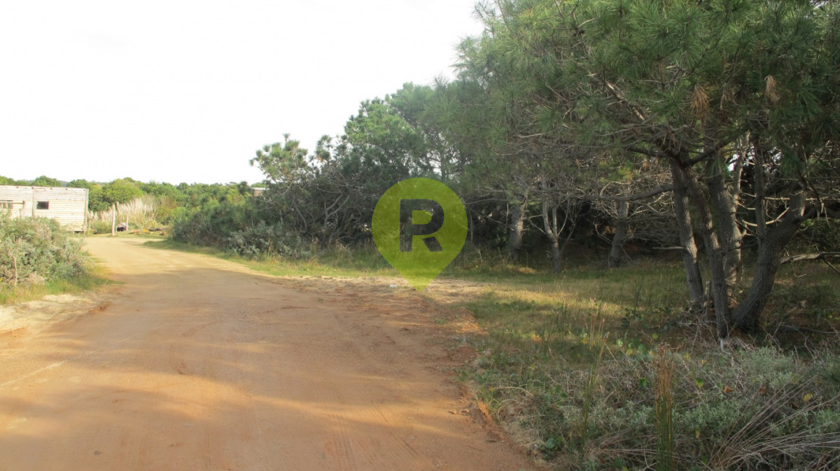 https://ri.com.uy/f/556/5/1200/0/0/0/8006.jpg