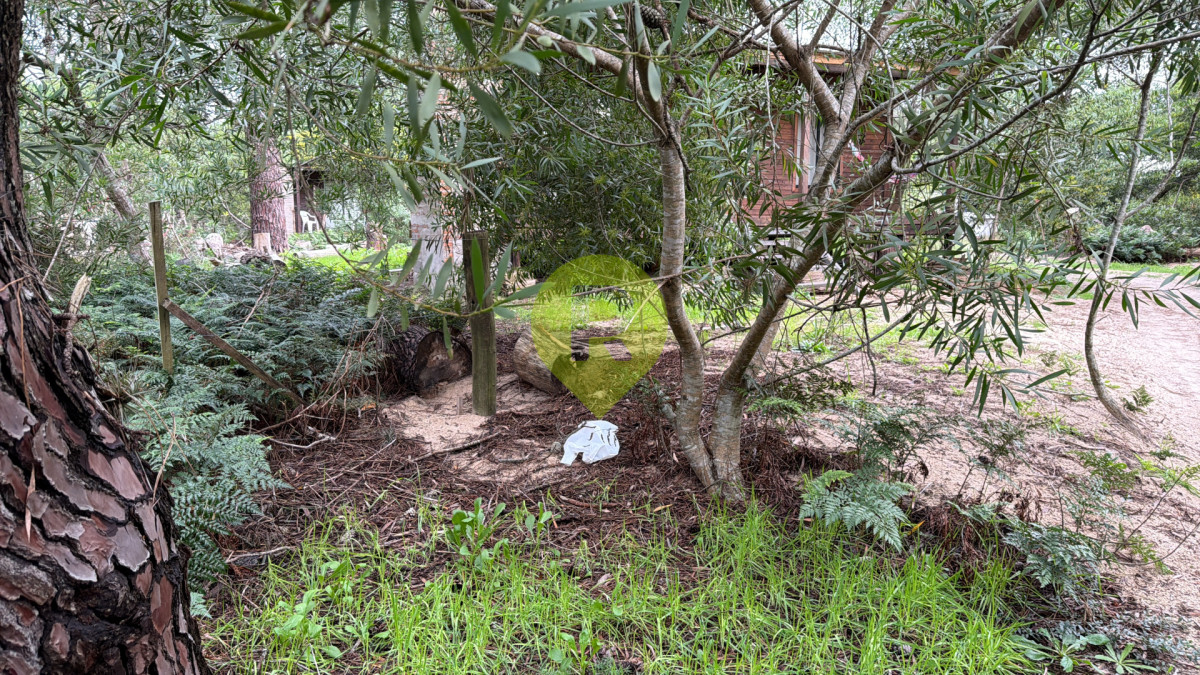 https://ri.com.uy/f/556/5/1200/0/0/0/988dc020e80096614b3d278338c3f638.jpg