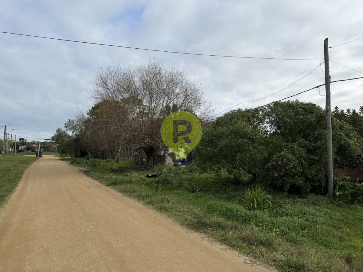 https://ri.com.uy/f/556/5/1200/0/0/0/9956e2d152e44ae26fe81f7038c0d927.jpg