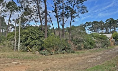 Se vende Terreno en 435 m²  sobre Calle Paloma, La Paloma