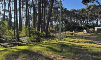 Terrenos en venta en Anaconda – La Paloma, a metros de Avenida del Navío