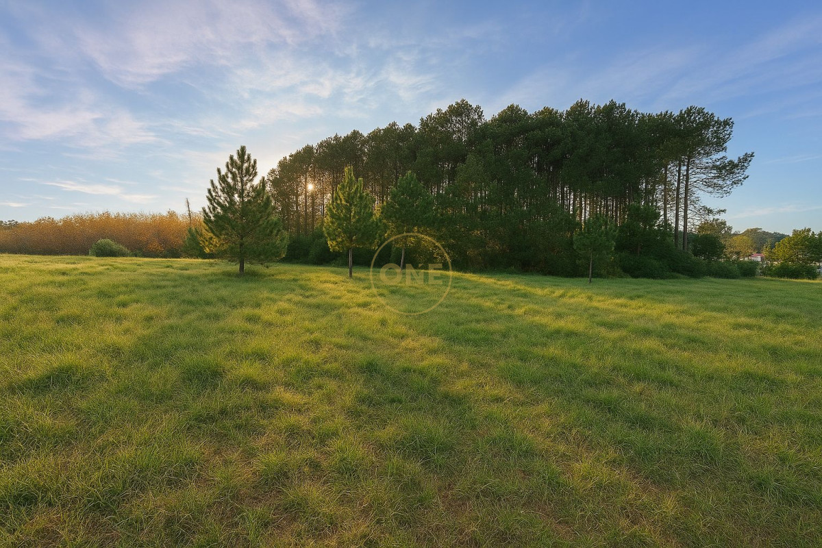 Apartamento ID.1857 - Niran