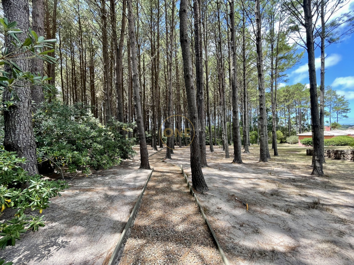Casa ID.1656 - Chacra en venta minutos de playa Mansa Punta del Este 