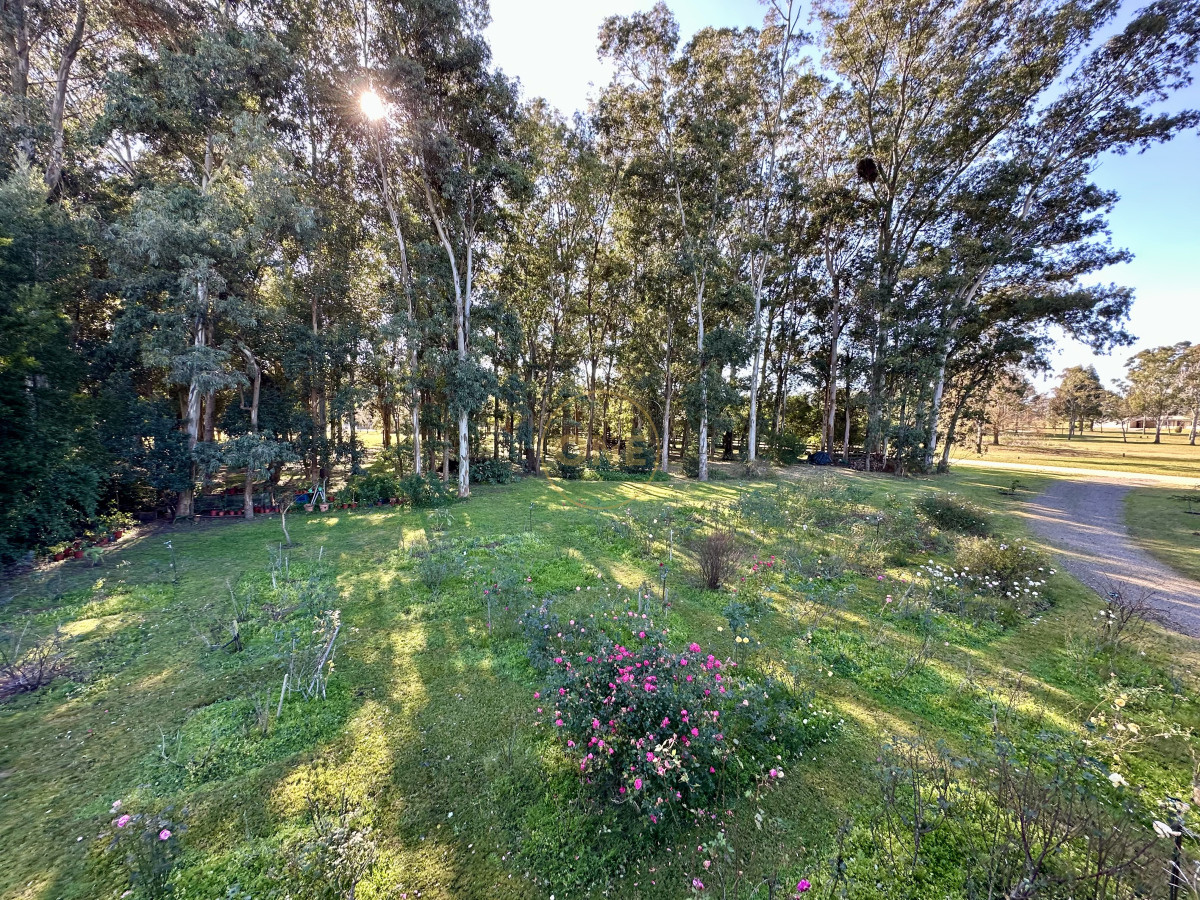 Casa ID.1813 - Chacra en venta en El Quijote Punta del Este 