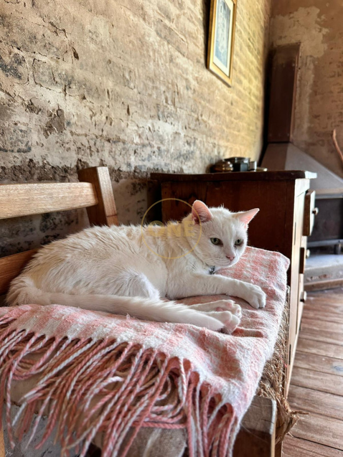 Chacra ID.2020 - Chacra con muelle a Laguna del Sauce