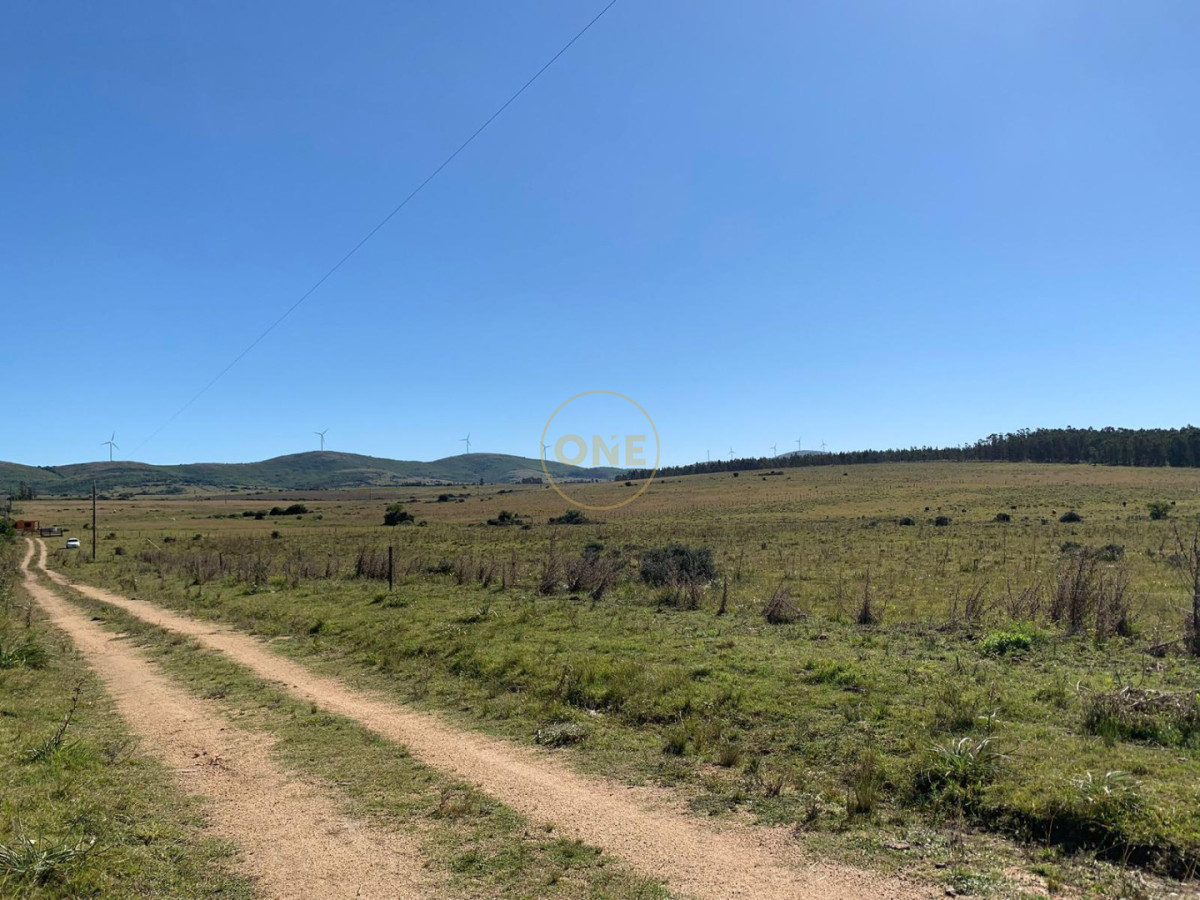 Chacra ID.2245 - Chacra de 5htás a la venta en Ruta 39 San Carlos