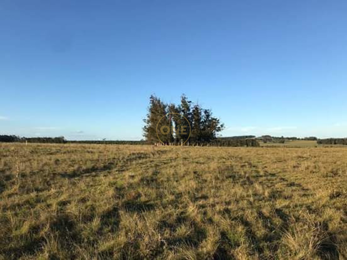 Chacra ID.2245 - Chacra de 5htás a la venta en Ruta 39 San Carlos