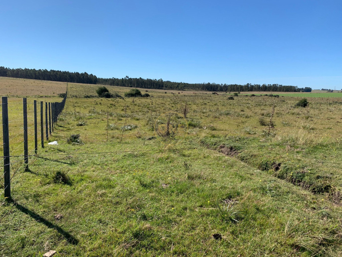 Chacra ID.2245 - Chacra de 5htás a la venta en Ruta 39 San Carlos