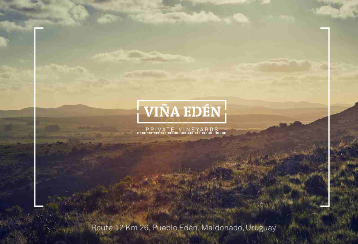 Chacra ID.1672 - Venta parcelas de 5 hectáreas en Viña Edén Private Vineyards.  Punta del Este