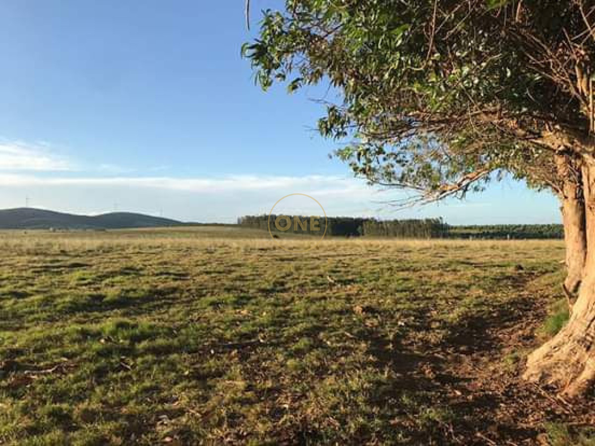 Chacra ID.2245 - Chacra de 5htás a la venta en Ruta 39 San Carlos