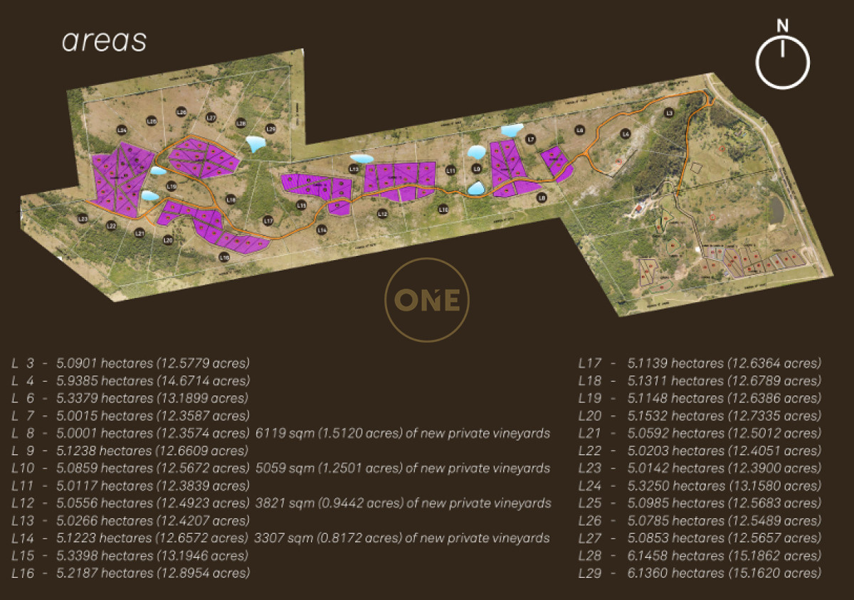Chacra ID.1672 - Venta parcelas de 5 hectáreas en Viña Edén Private Vineyards.  Punta del Este
