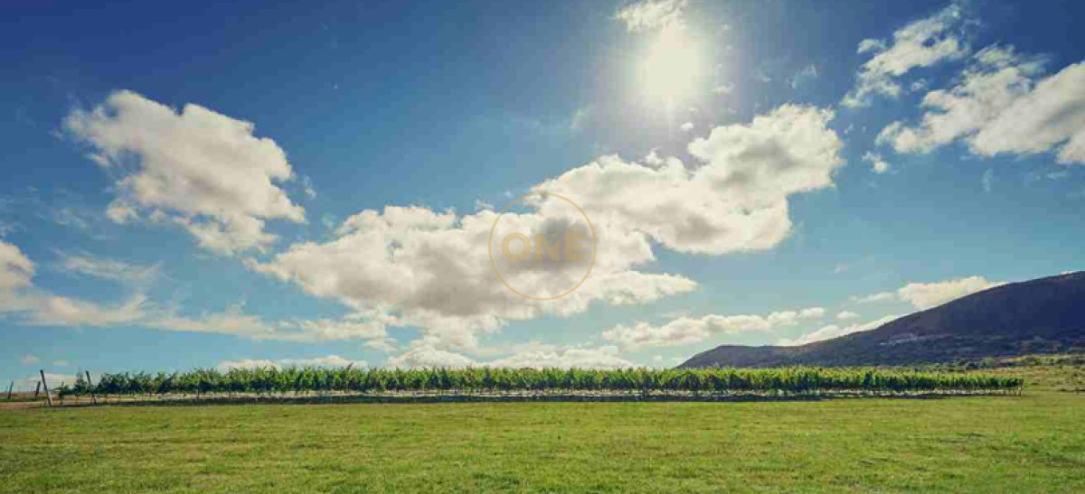 Chacra ID.1672 - Venta parcelas de 5 hectáreas en Viña Edén Private Vineyards.  Punta del Este