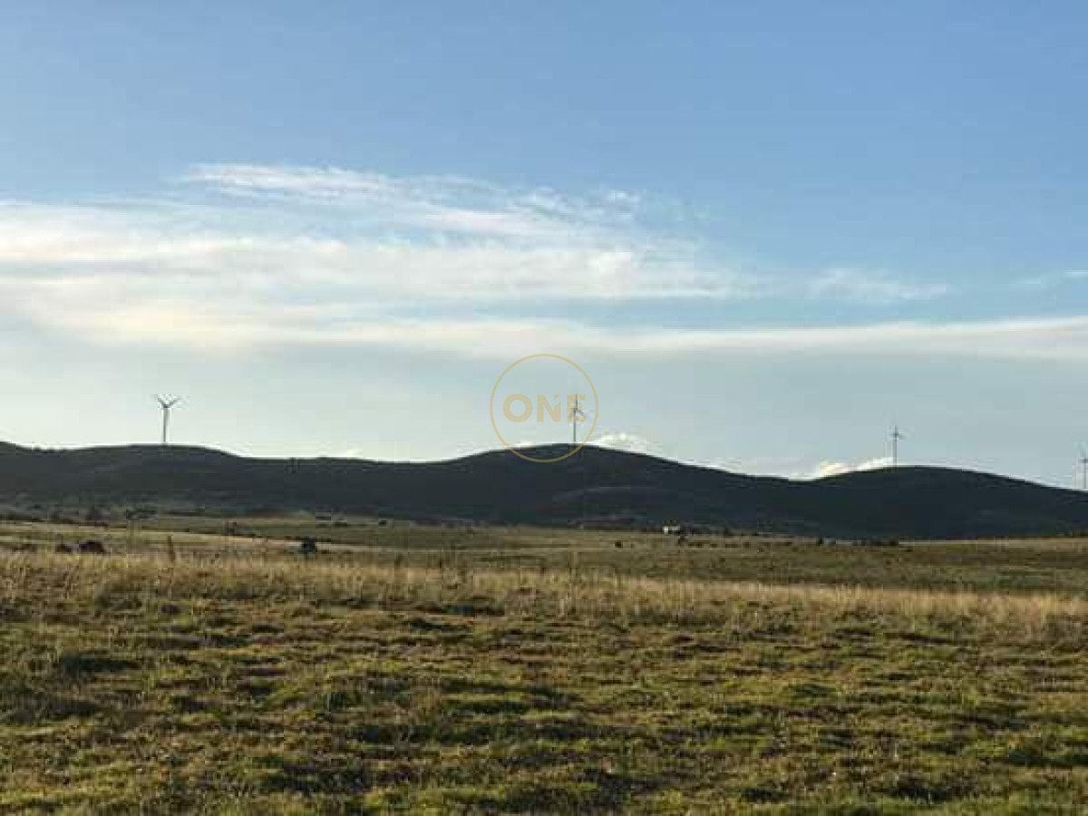 Chacra ID.2245 - Chacra de 5htás a la venta en Ruta 39 San Carlos