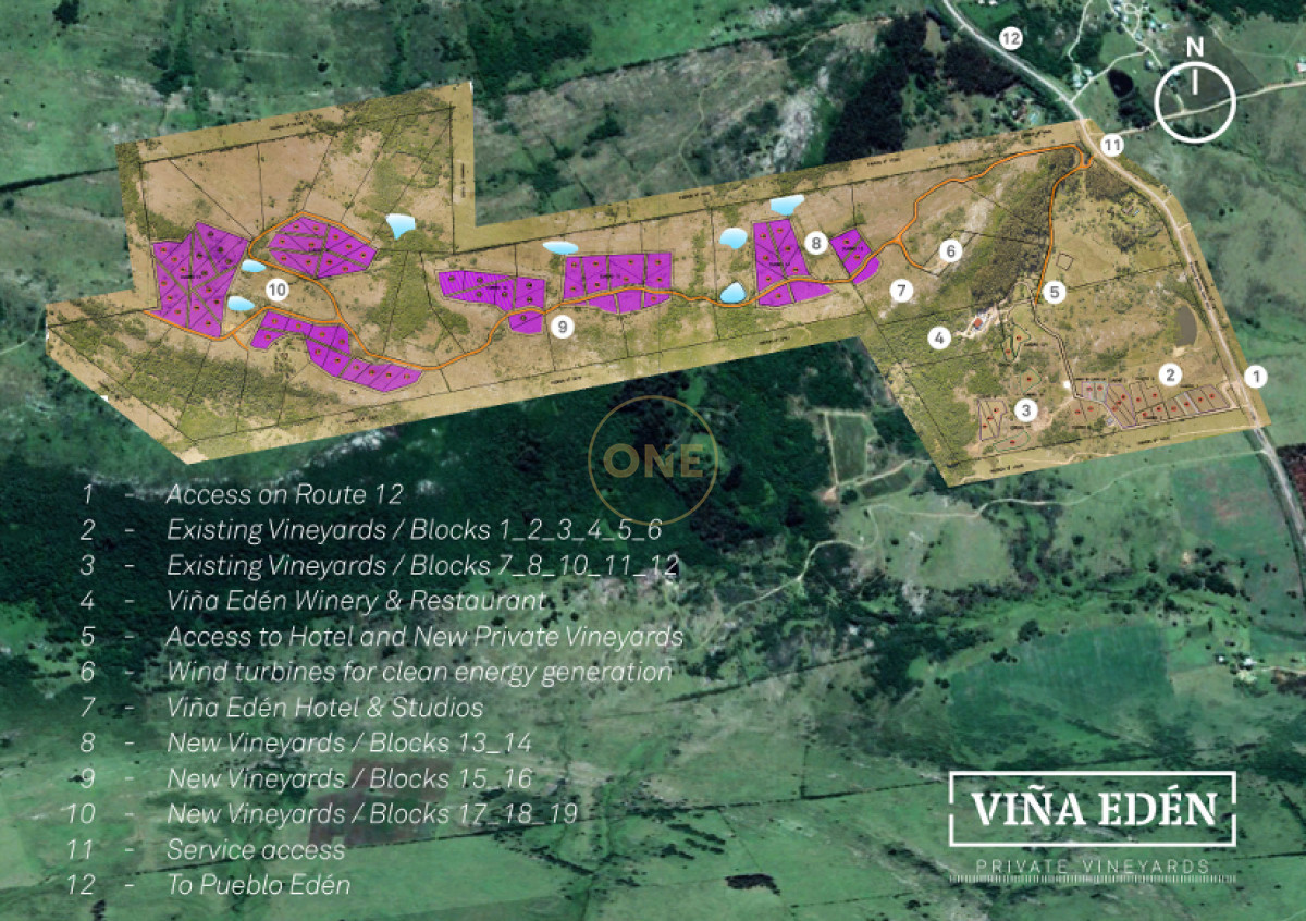 Chacra ID.1672 - Venta parcelas de 5 hectáreas en Viña Edén Private Vineyards.  Punta del Este