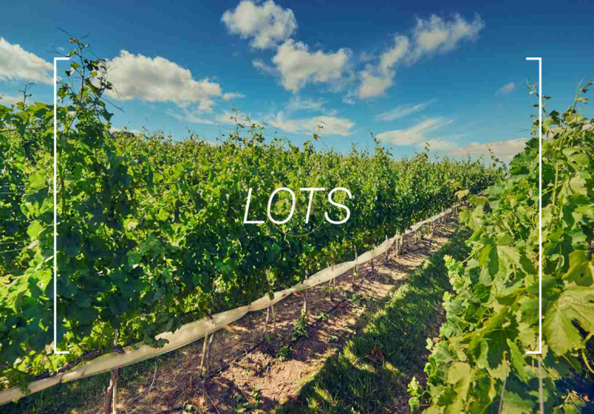 Chacra ID.1672 - Venta parcelas de 5 hectáreas en Viña Edén Private Vineyards.  Punta del Este