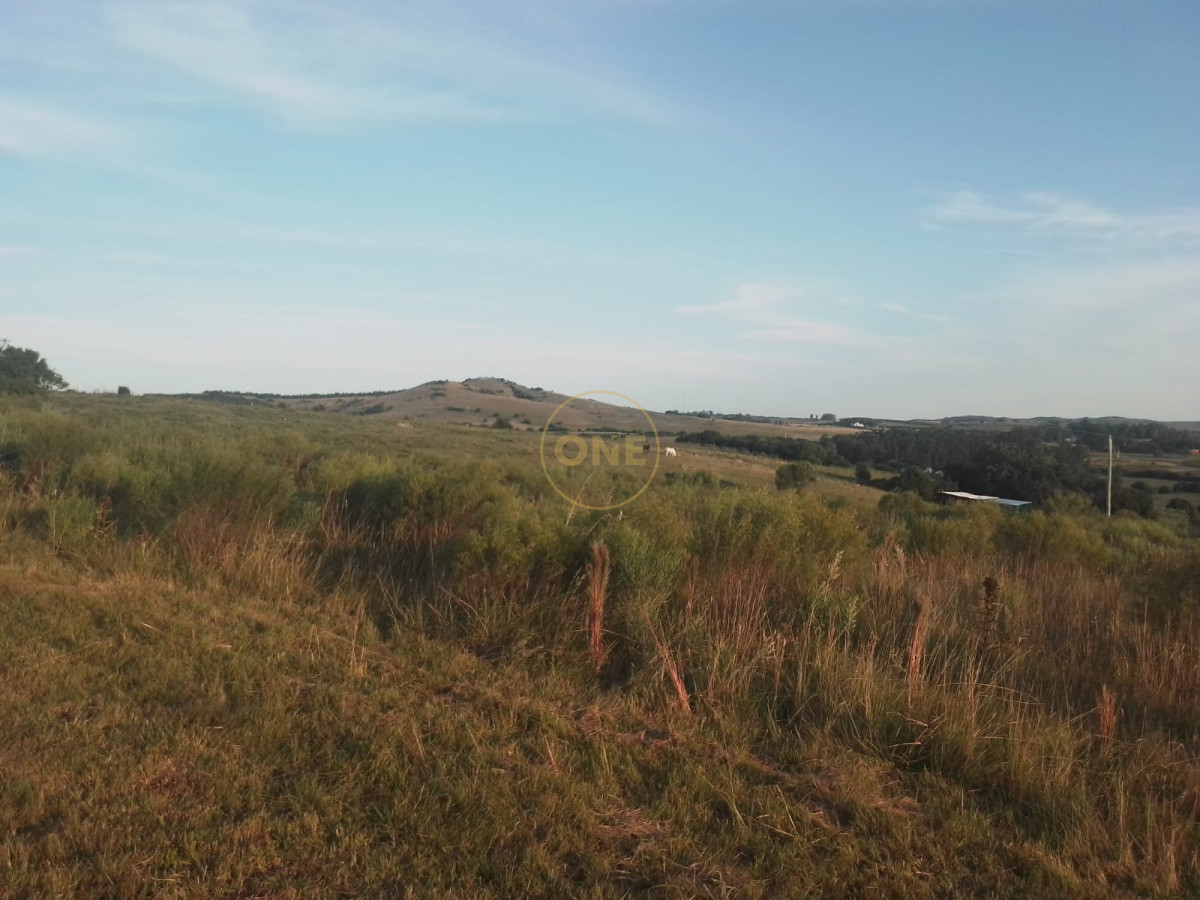 Chacra ID.1620 - Chacra en venta de 5 hectáreas Cerro Colorado Pan de Azúcar Piriápolis