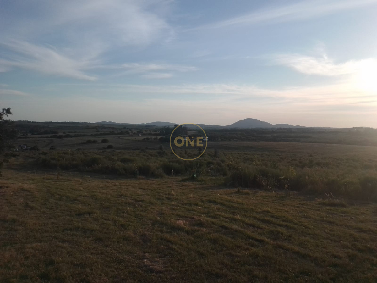 Chacra ID.1620 - Chacra en venta de 5 hectáreas Cerro Colorado Pan de Azúcar Piriápolis