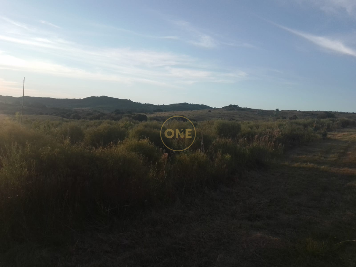 Chacra ID.1620 - Chacra en venta de 5 hectáreas Cerro Colorado Pan de Azúcar Piriápolis