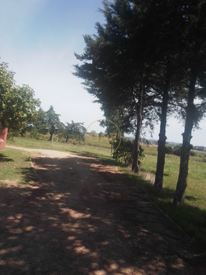 Chacra ID.1652 - venta chacra de 5 hectáreas con bodega y pulpería San Carlos Maldonado