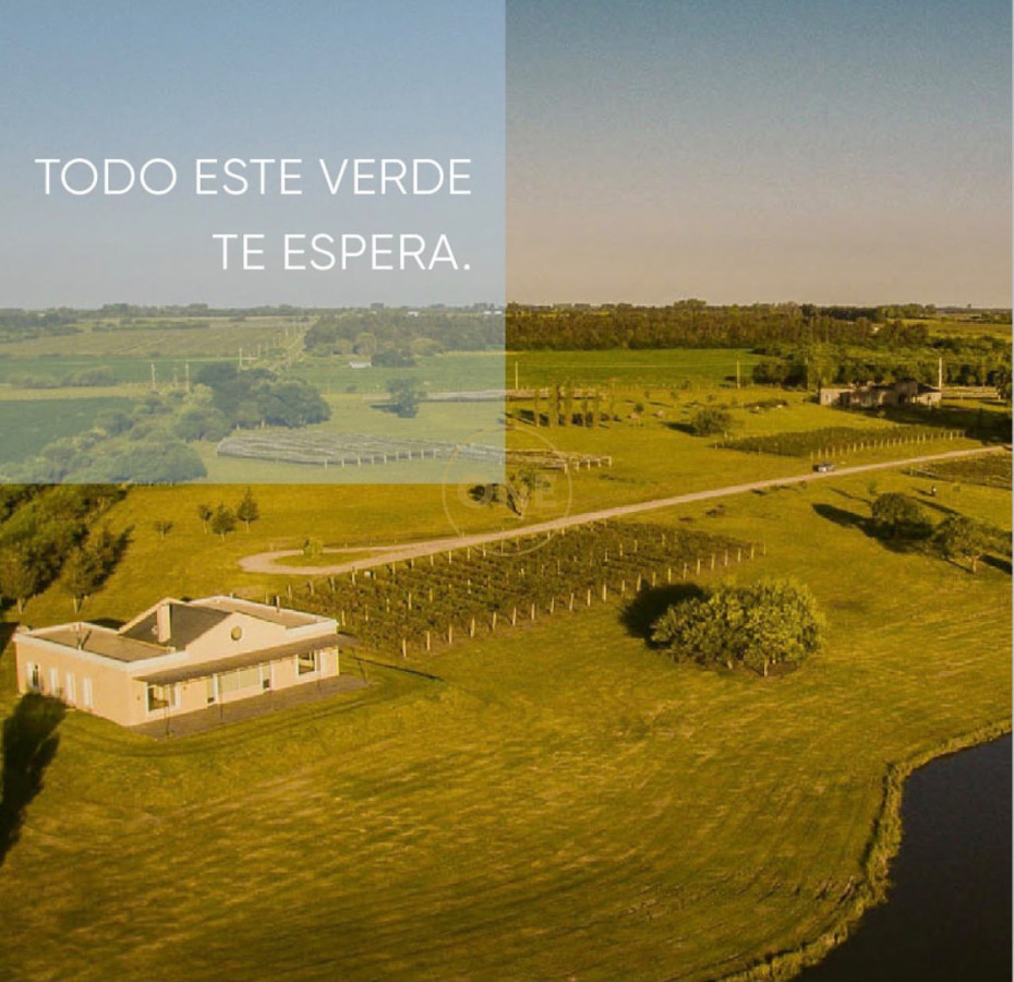 Chacra ID.2382 - La Concordia- Carmelo