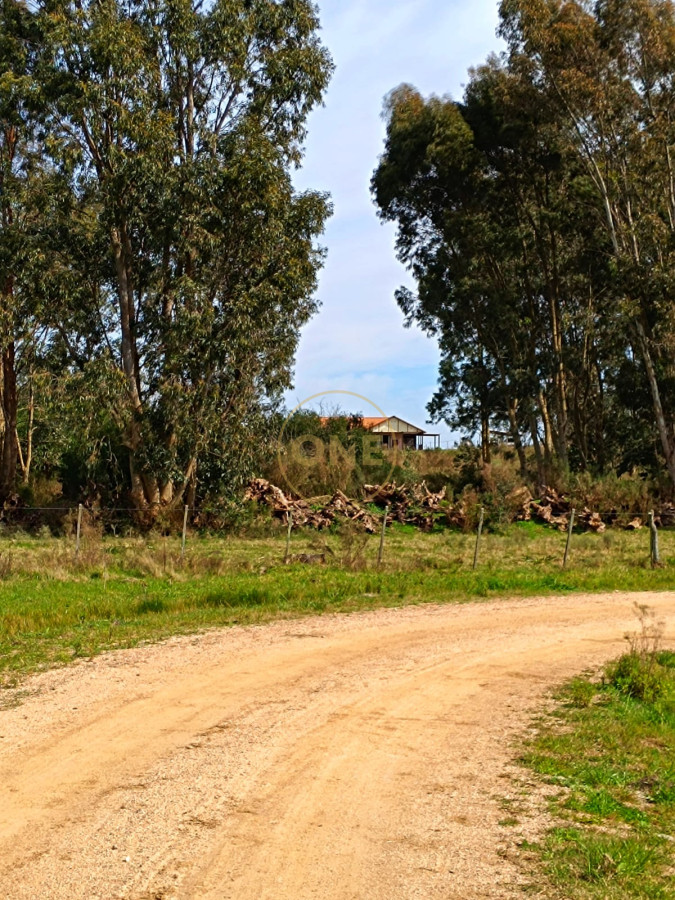Chacra ID.1602 - Venta Chacra de 8 hectáreas en San Jacinto Canelones