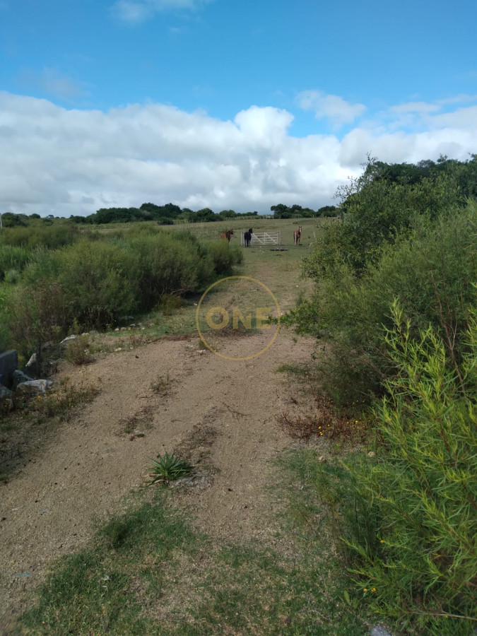 Chacra ID.1598 - Chacra en venta de  5 hectáreas en Pan de Azúcar Piriapolis