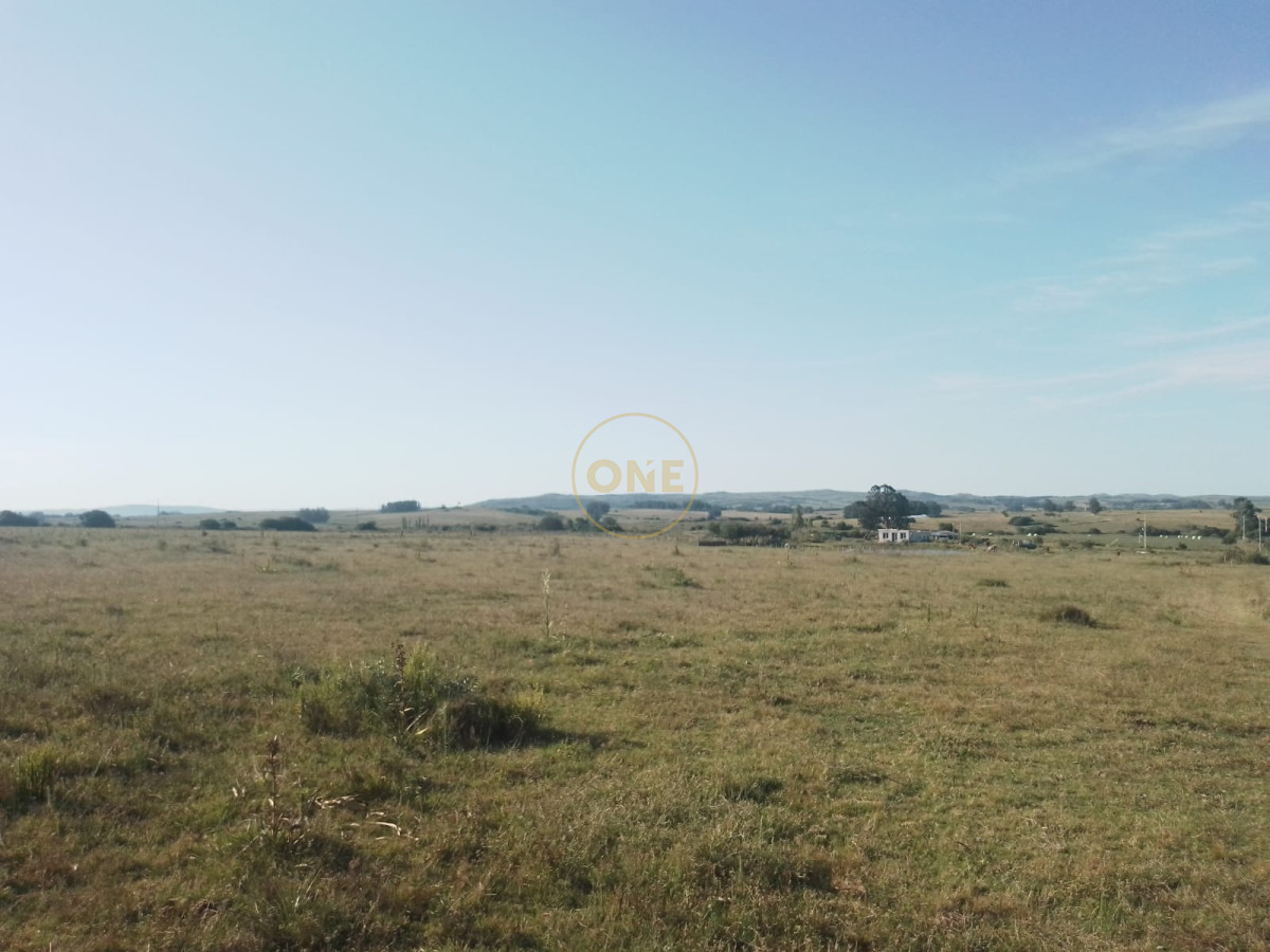 Chacra ID.1620 - Chacra en venta de 5 hectáreas Cerro Colorado Pan de Azúcar Piriápolis
