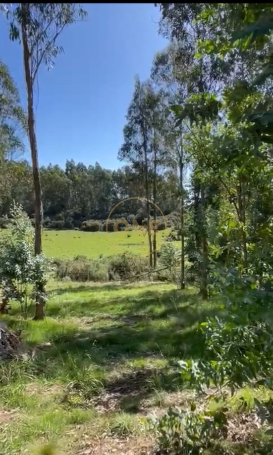 Chacra ID.1589 - VENTA CHACRA 1 DORMITORIO EN VALLE HILO DE LA VIDA