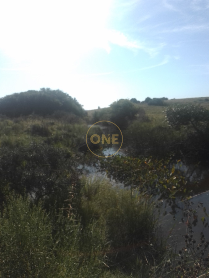 Chacra ID.1652 - venta chacra de 5 hectáreas con bodega y pulpería San Carlos Maldonado