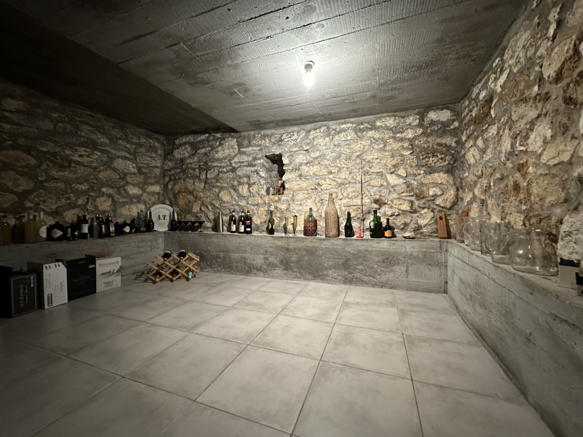 Chacra ID.1694 - Venta Chacra 50 hectáreas Punta de San Francisco Maldonado