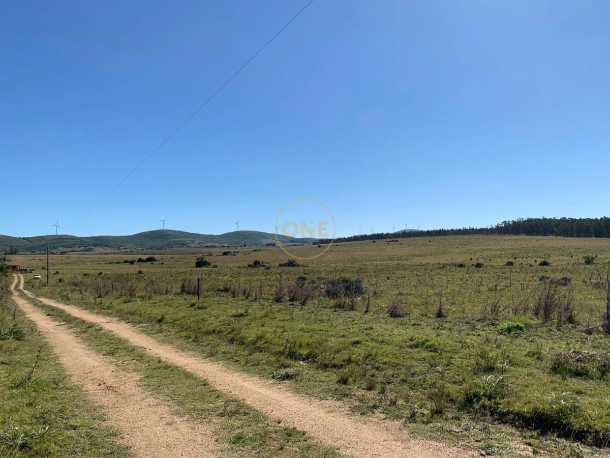 Chacra ID.2245 - Chacra de 5htás a la venta en Ruta 39 San Carlos