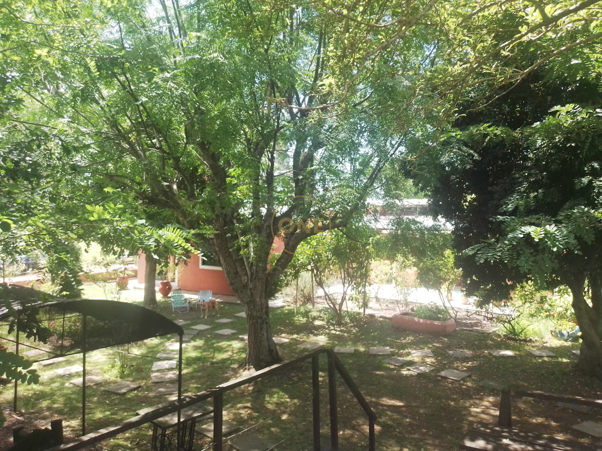 Chacra ID.1652 - venta chacra de 5 hectáreas con bodega y pulpería San Carlos Maldonado