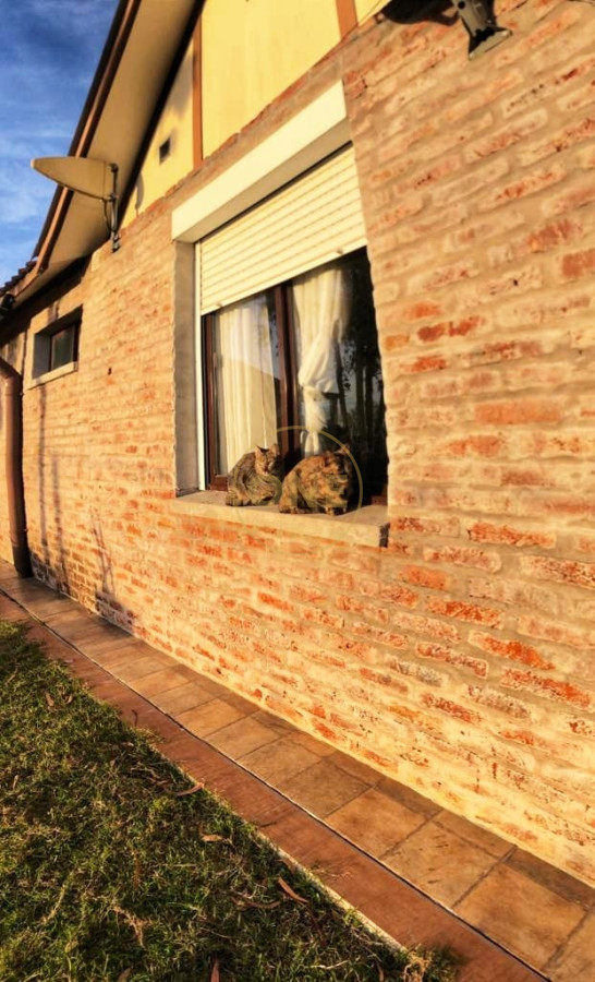 Chacra ID.1602 - Venta Chacra de 8 hectáreas en San Jacinto Canelones