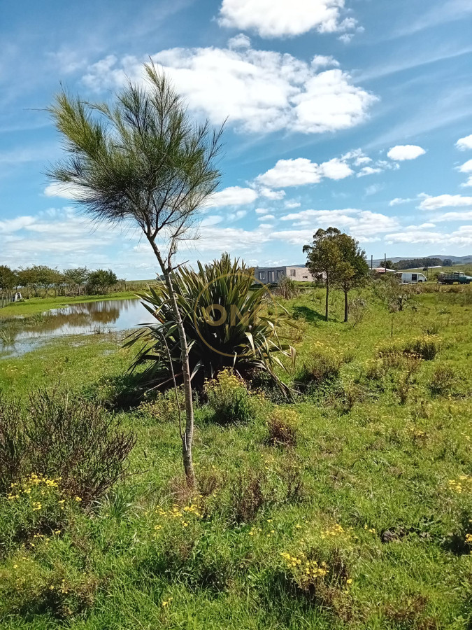 Chacra ID.1619 - Chacra 12 hectáreas con vivienda en Cañada Bellaca San Carlos