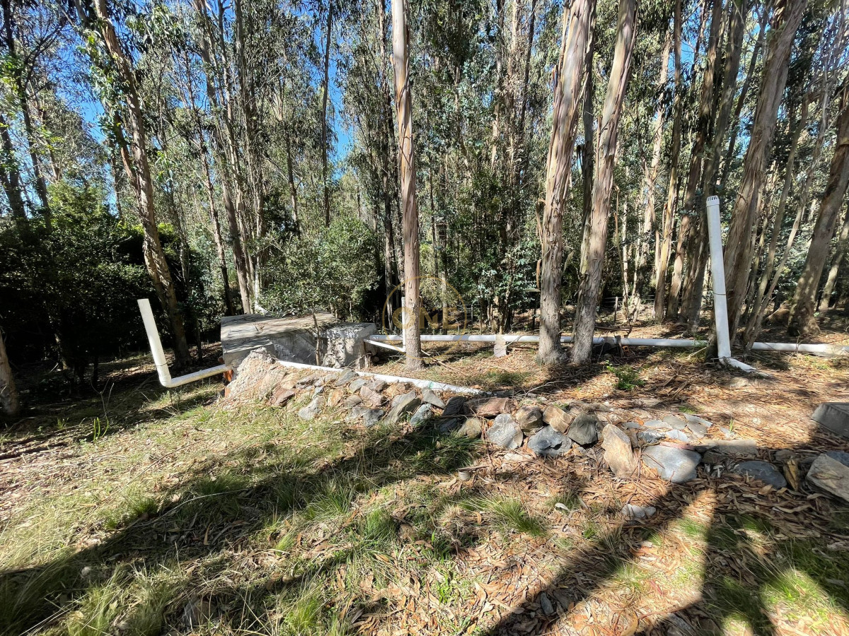 Chacra ID.1589 - VENTA CHACRA 1 DORMITORIO EN VALLE HILO DE LA VIDA