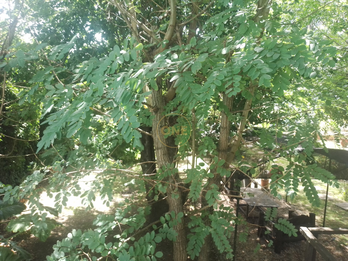 Chacra ID.1652 - venta chacra de 5 hectáreas con bodega y pulpería San Carlos Maldonado