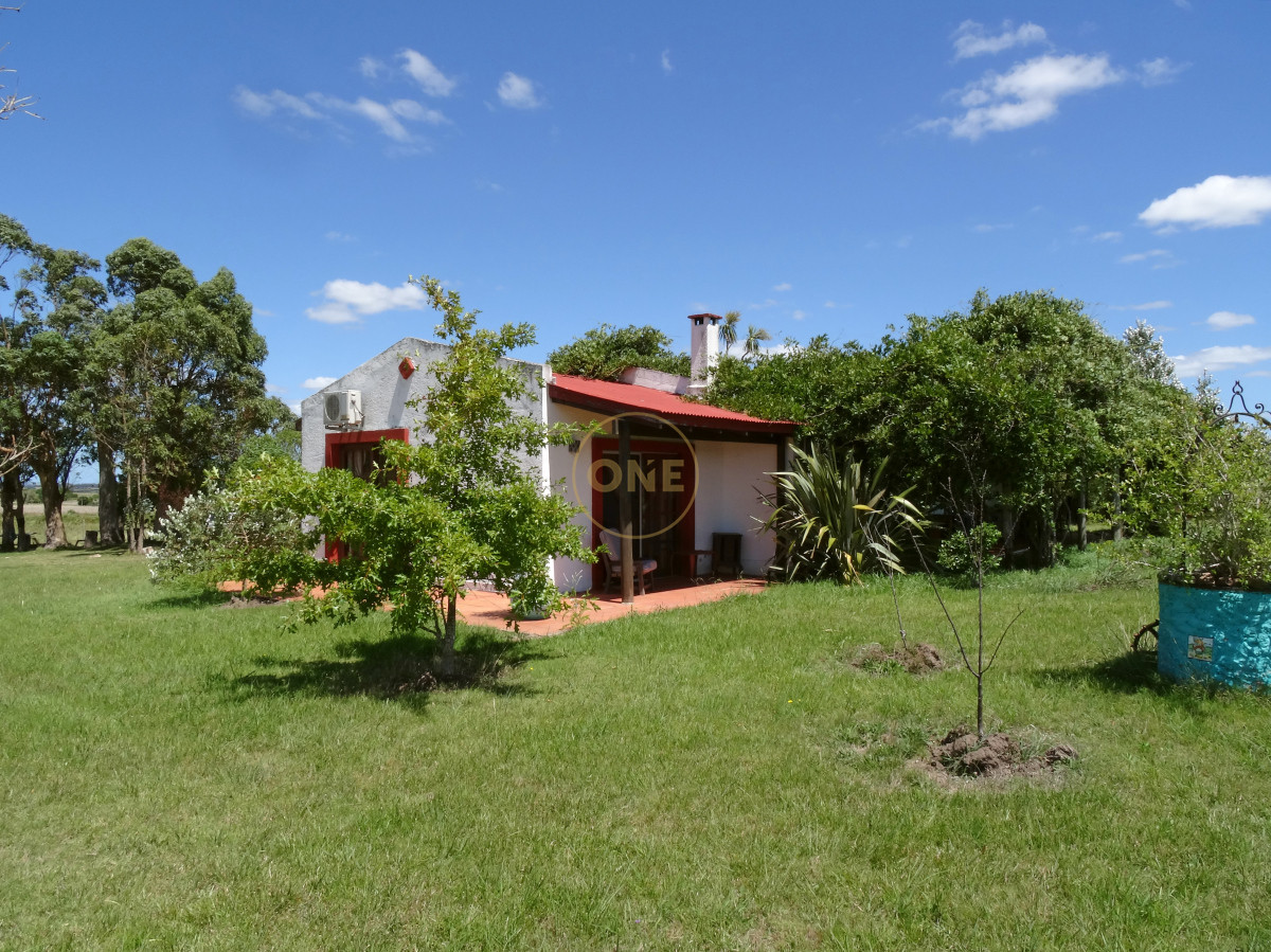 Chacra ID.1699 - Hermosa Chacra a 20 minutos de Punta del Este 