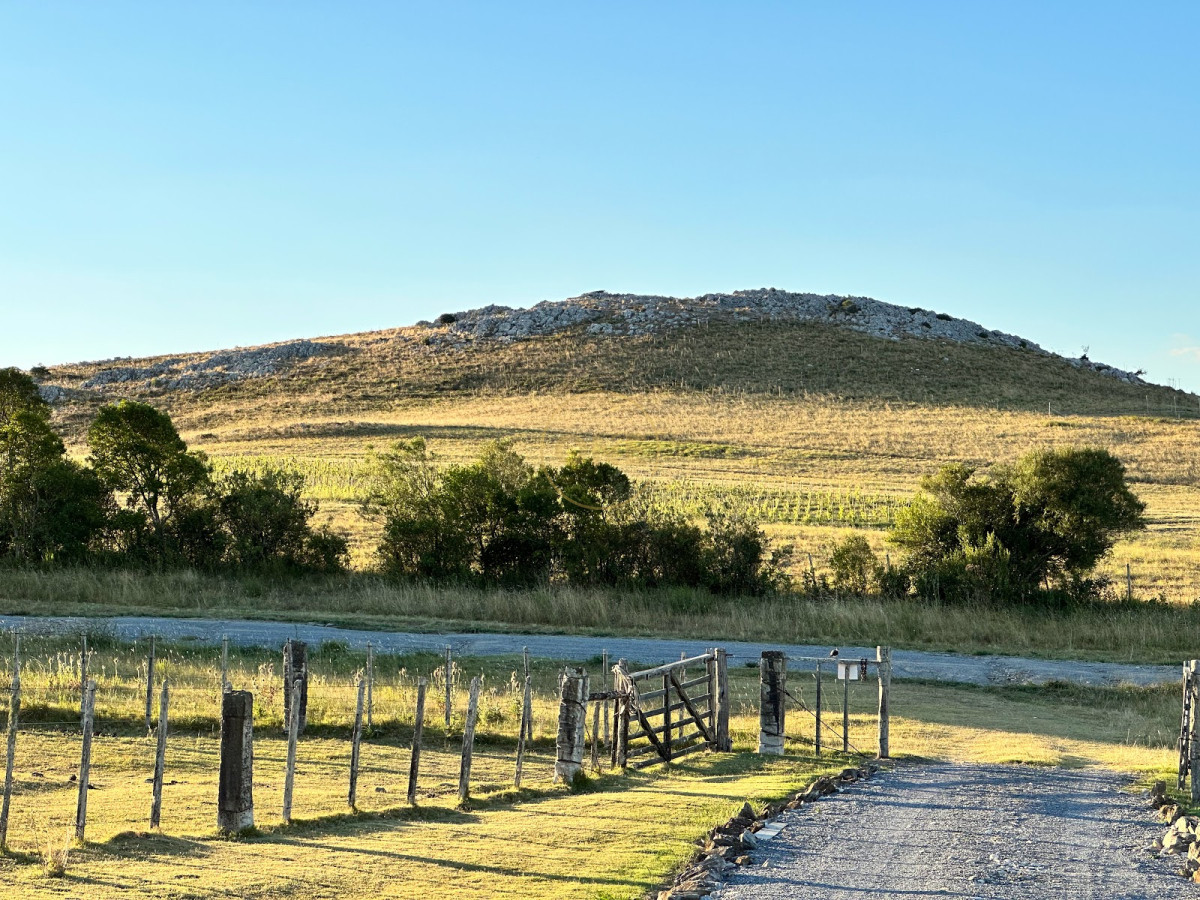 Chacra ID.1694 - Venta Chacra 50 hectáreas Punta de San Francisco Maldonado