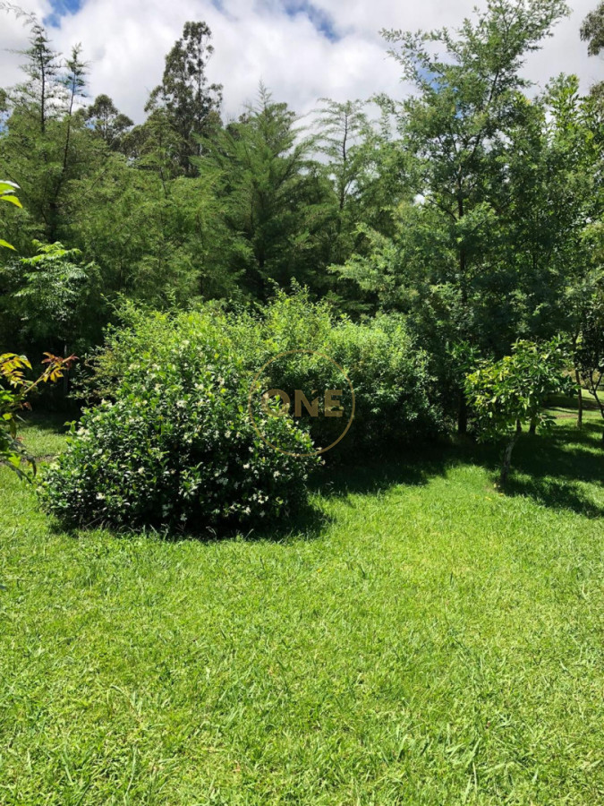 Chacra ID.2343 - Chacra Ruta 12