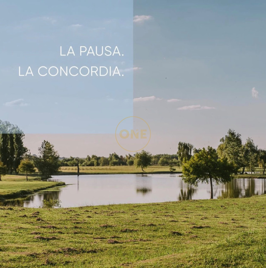 Chacra ID.2382 - La Concordia- Carmelo