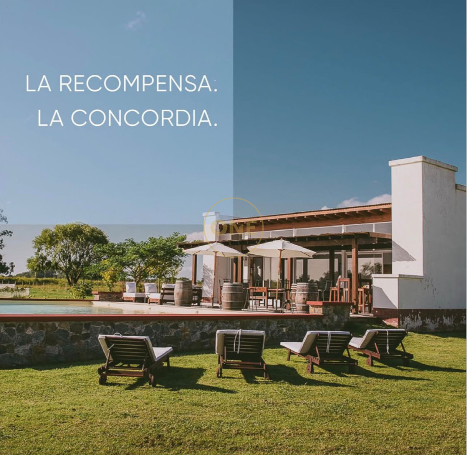 Chacra ID.2382 - La Concordia- Carmelo