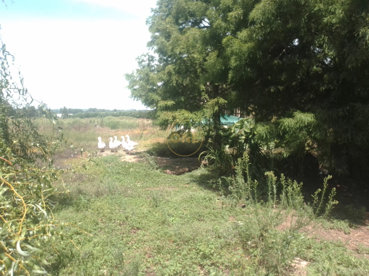 Chacra ID.1652 - venta chacra de 5 hectáreas con bodega y pulpería San Carlos Maldonado
