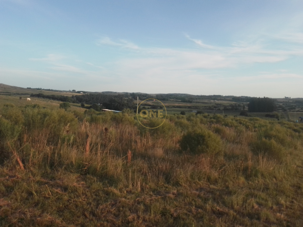 Chacra ID.1620 - Chacra en venta de 5 hectáreas Cerro Colorado Pan de Azúcar Piriápolis