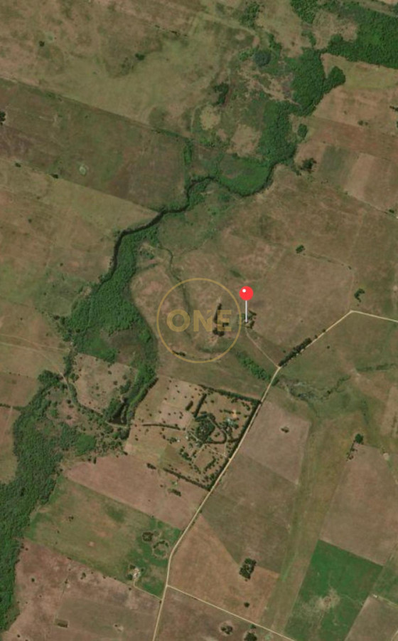 Chacra ID.2259 - Chacra 74 hás productivas a 30 de Manantiales