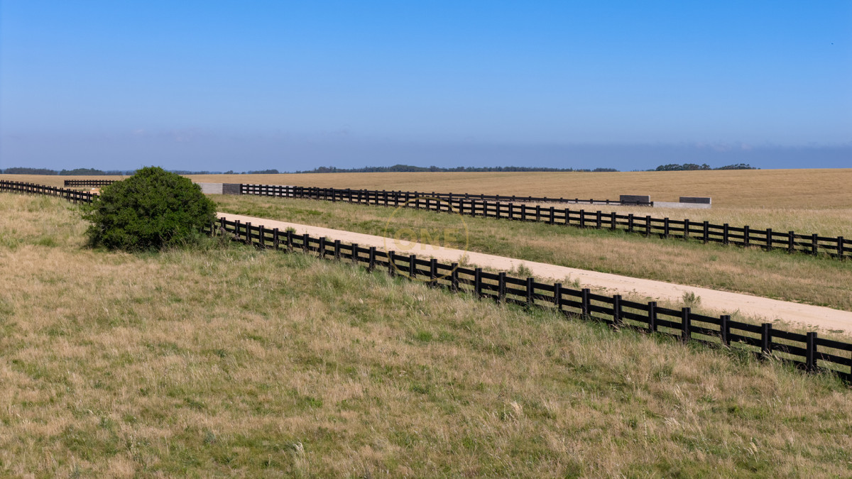 Chacra ID.2098 - AIRES DE GARZÓN: LA CHACRA QUE SOÑASTE AHORA A TU ALCANCE