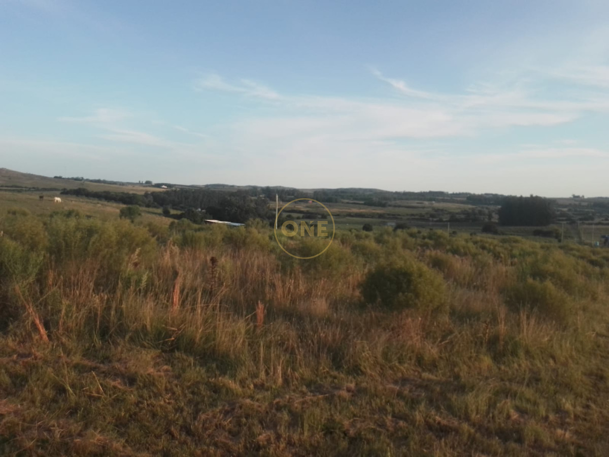 Chacra ID.1620 - Chacra en venta de 5 hectáreas Cerro Colorado Pan de Azúcar Piriápolis