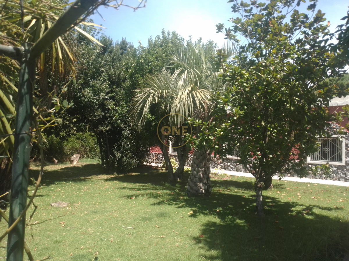 Chacra ID.1652 - venta chacra de 5 hectáreas con bodega y pulpería San Carlos Maldonado
