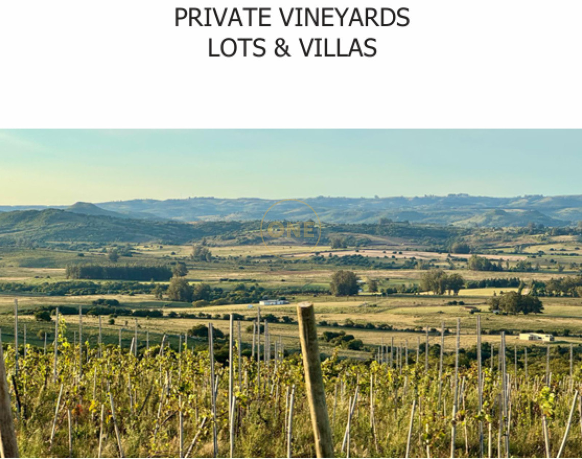 Chacra ID.1672 - Venta parcelas de 5 hectáreas en Viña Edén Private Vineyards.  Punta del Este