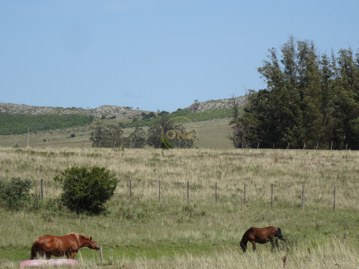 Chacra ID.1699 - Hermosa Chacra a 20 minutos de Punta del Este 